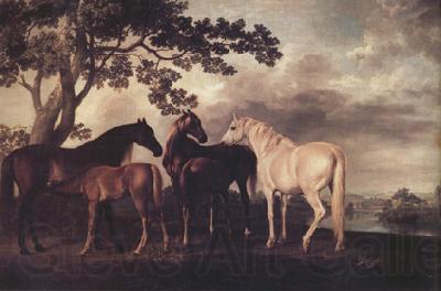 George Stubbs Mares and Foais in a Landscape (nn03) Norge oil painting art